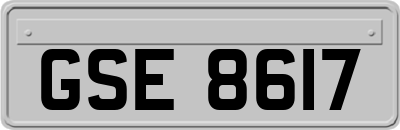 GSE8617