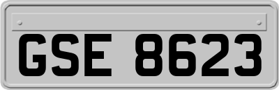 GSE8623
