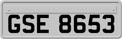 GSE8653