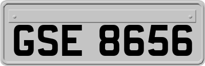 GSE8656
