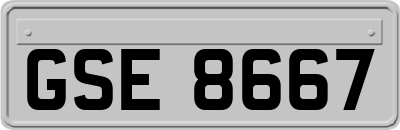 GSE8667