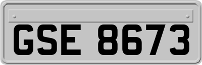 GSE8673