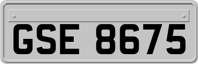 GSE8675
