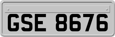 GSE8676