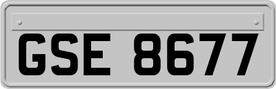 GSE8677