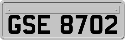 GSE8702