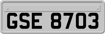 GSE8703