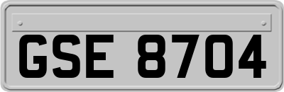 GSE8704