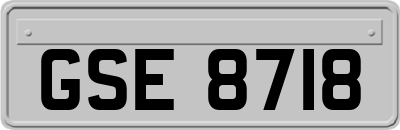 GSE8718