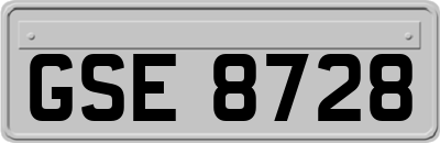 GSE8728