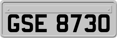 GSE8730
