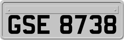 GSE8738
