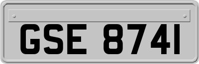 GSE8741