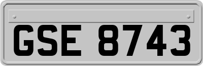 GSE8743