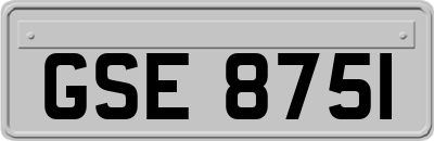 GSE8751