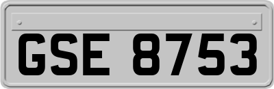 GSE8753
