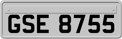 GSE8755