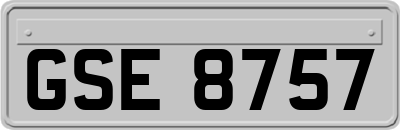 GSE8757