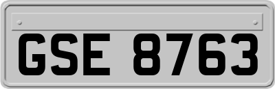 GSE8763