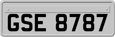 GSE8787