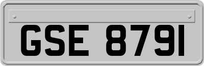 GSE8791