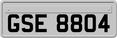GSE8804