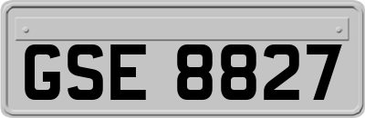 GSE8827
