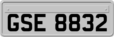 GSE8832