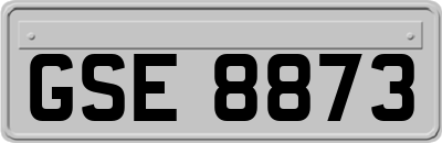GSE8873