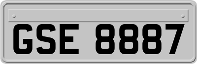 GSE8887