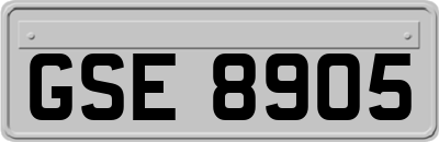 GSE8905