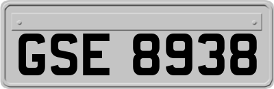 GSE8938