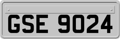 GSE9024