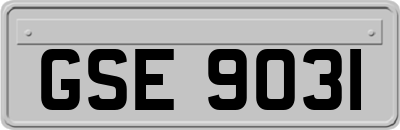 GSE9031