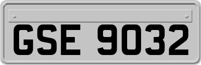GSE9032