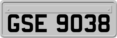 GSE9038