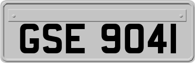 GSE9041