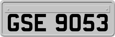 GSE9053