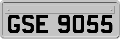 GSE9055