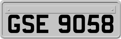 GSE9058