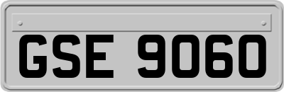 GSE9060