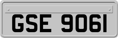 GSE9061