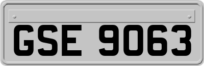 GSE9063