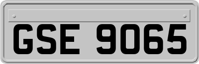 GSE9065