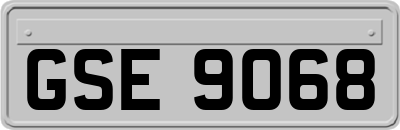 GSE9068