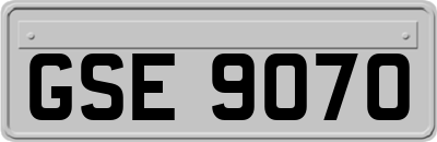 GSE9070