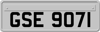 GSE9071