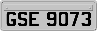 GSE9073