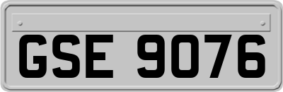 GSE9076