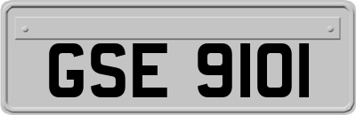GSE9101